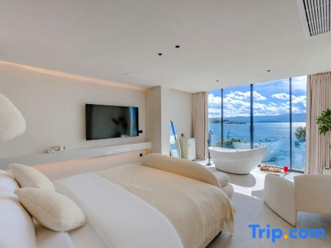 Standard Double room with balcony and with sea view