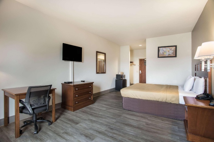 1 Bedroom Standard Double room