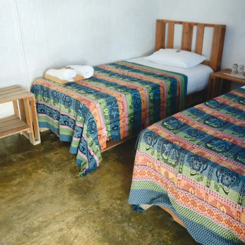 Standard Twin room with view