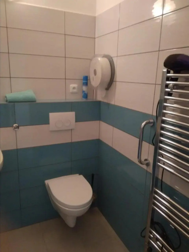 Dvůr v Borovné