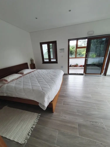 Comfort Suite