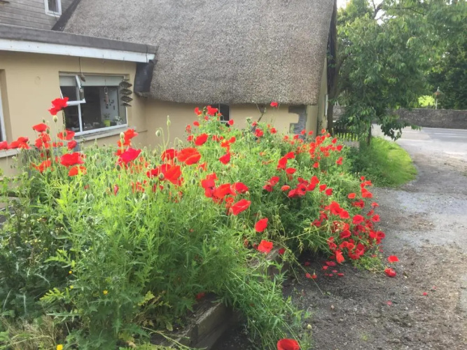Bridge Cottage
