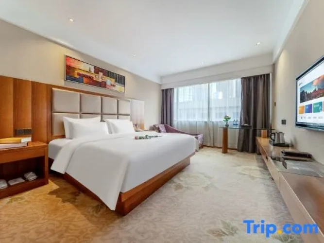 Standard Double room with city view