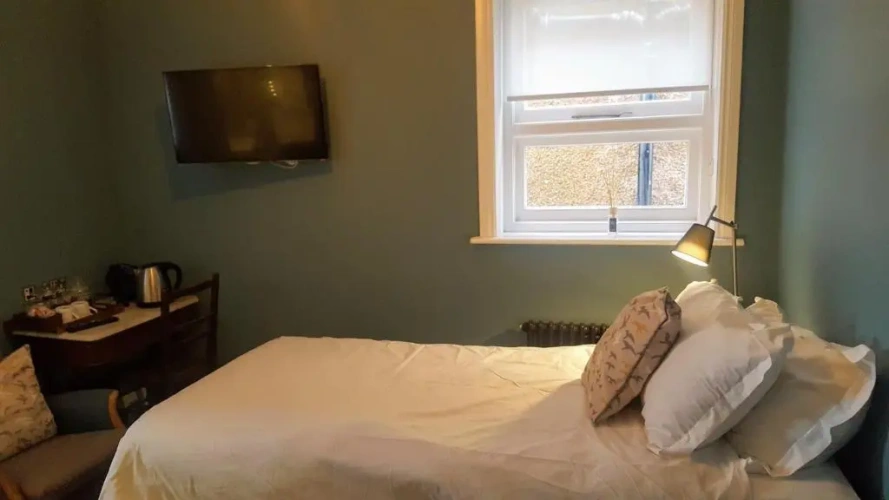 Deluxe Single room with view