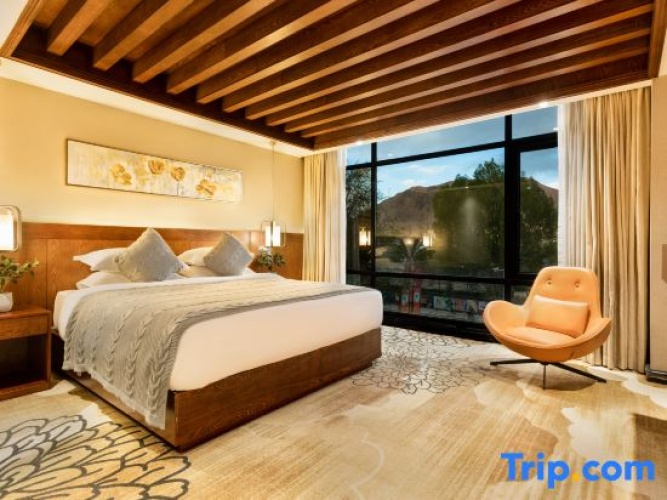 Executive Suite with city view