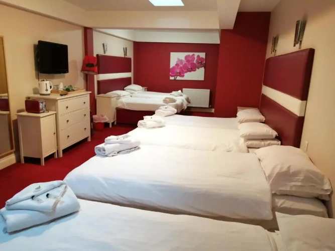 Standard Single room