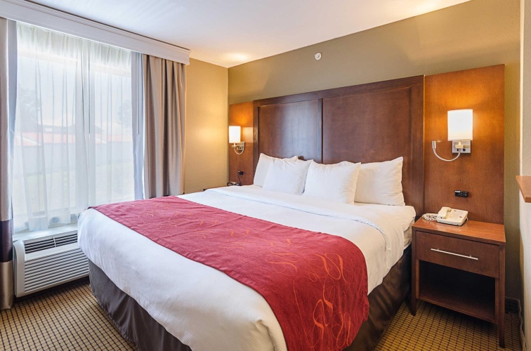 1 Bedroom Suite