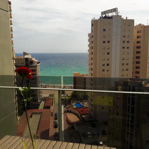 Mirador apart