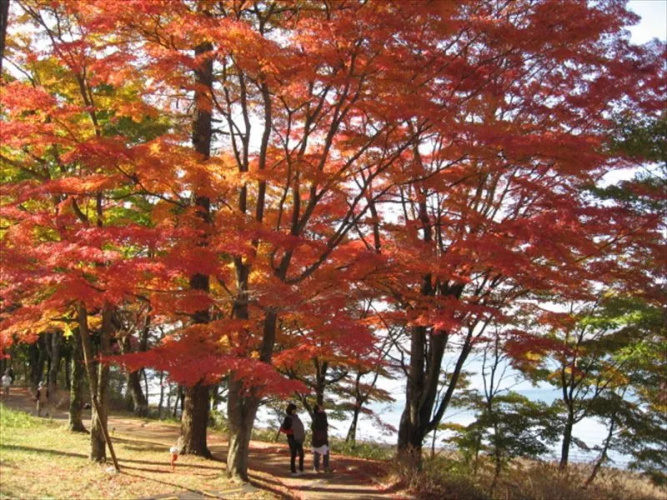 Guesthouse Koukanso