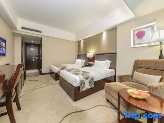 Executive Twin room