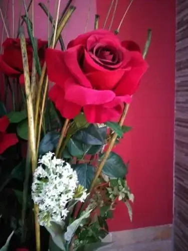 Rosa Roja