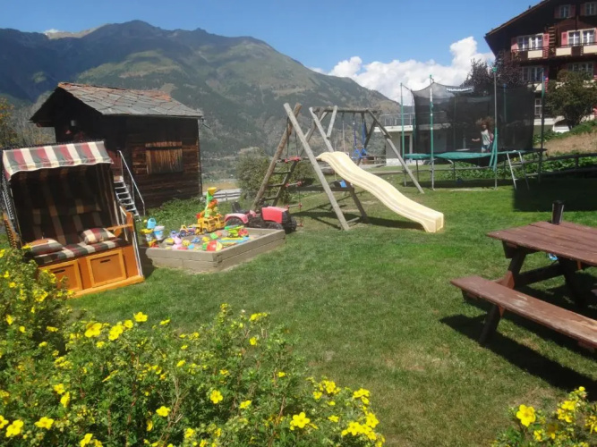 Chalet Petunia