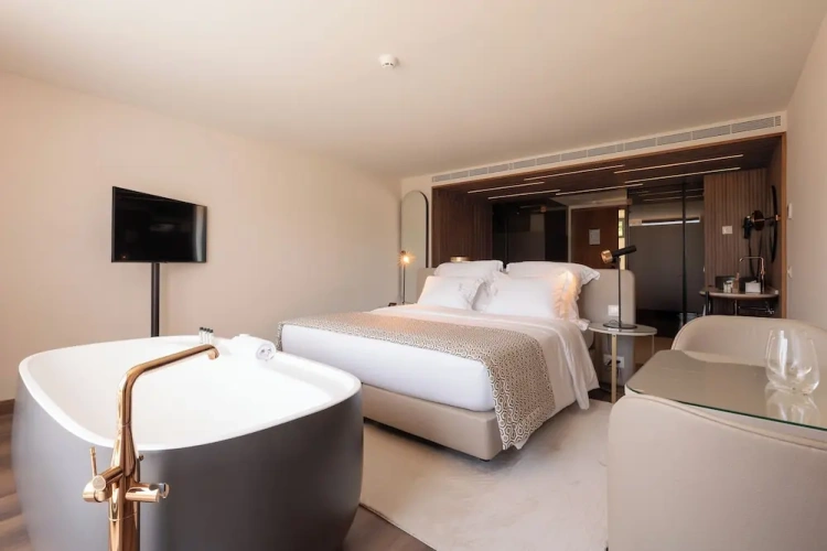 Standard Double room with balcony and with mountain view