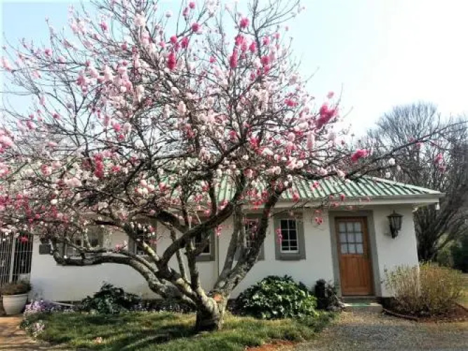 Sani Window B&B and Self catering