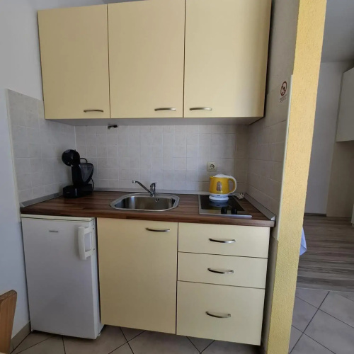Studio apartman Latica