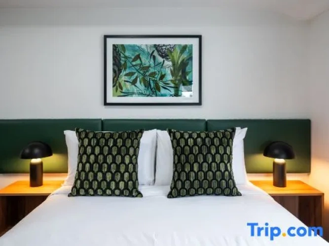 1 Bedroom Suite