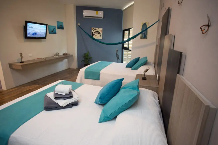 Suites and Art