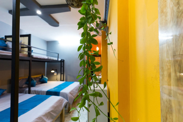 GoCo Hostel