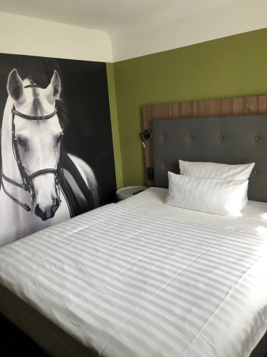 Comfort Single room