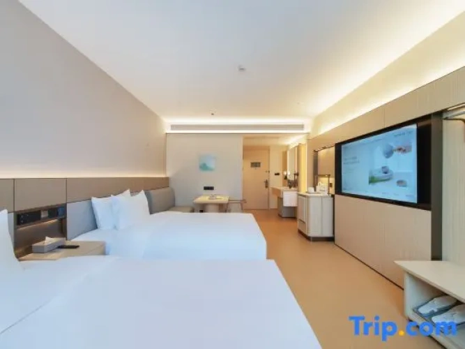 Business Twin room