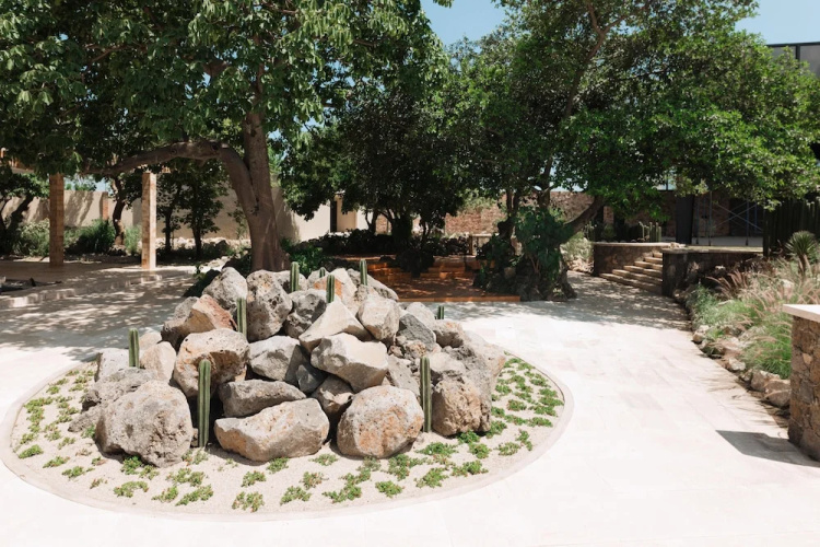 Piedra Viva Tepoztlan