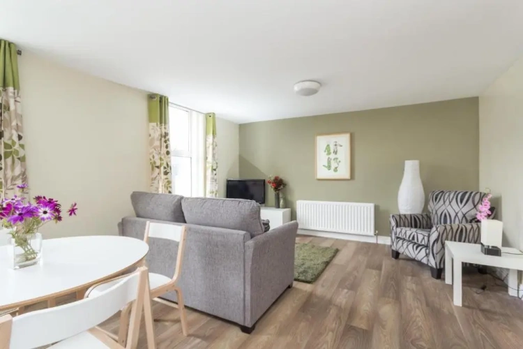 1 Bedroom Apartment