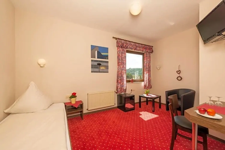 Standard Twin room with view