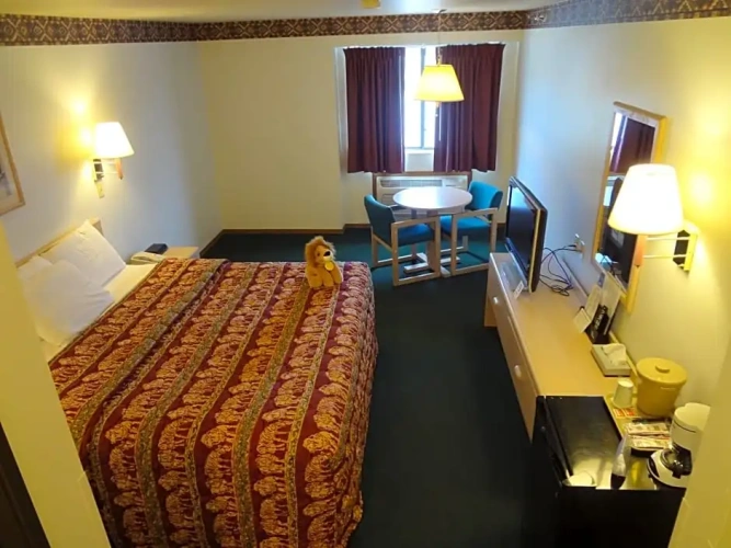 Standard Double room