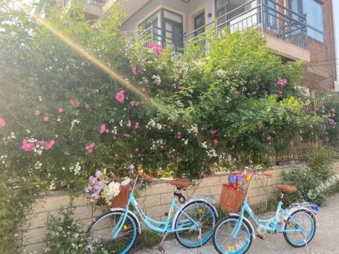 Home-North Guesthouse