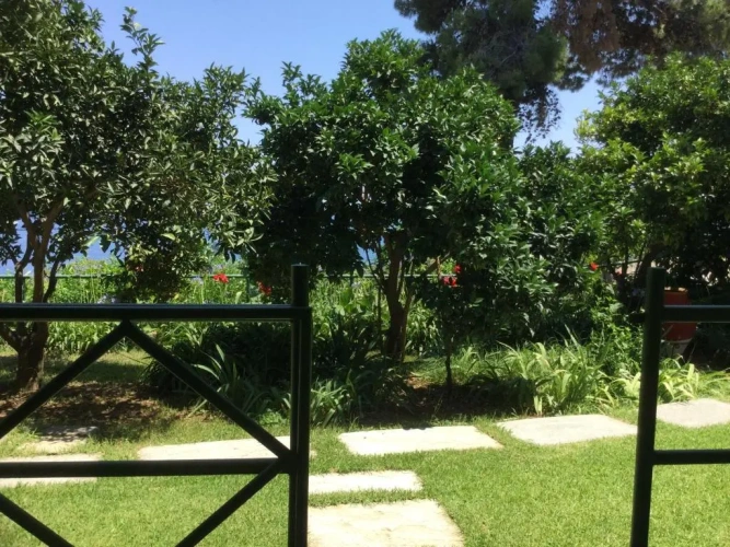 Standard Twin room with garden view