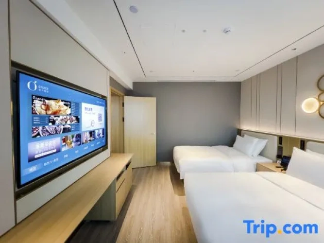 Twin Suite
