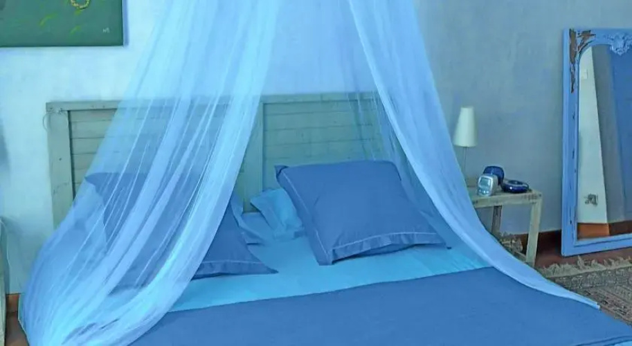 Chambres Dhotes Le Regent