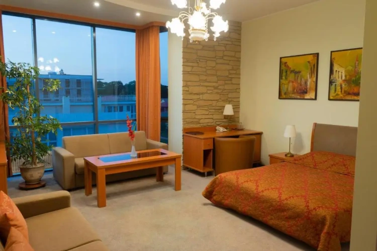 Business Double room
