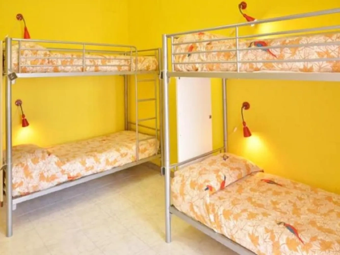 Bed in Dorm (female dorm)