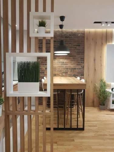 Tesla 3 Apartment