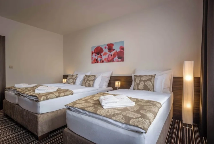 Premium Triple room