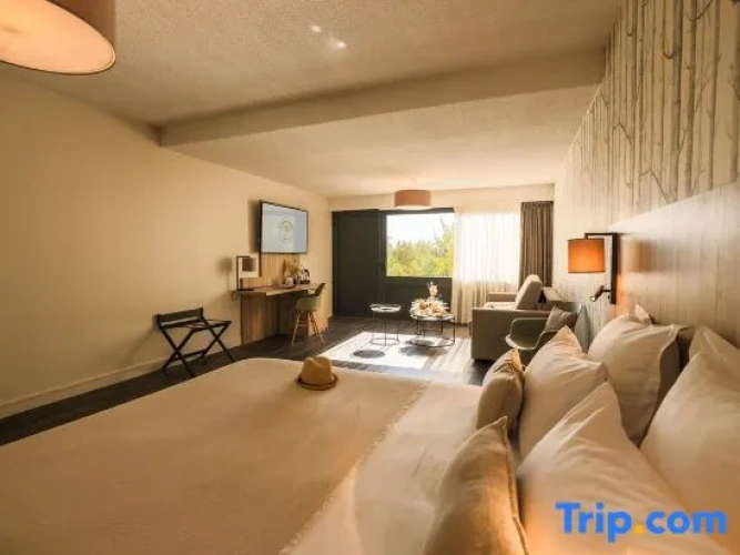 Deluxe Family room