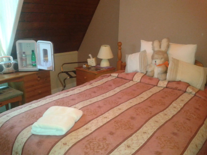 Springfield B & B