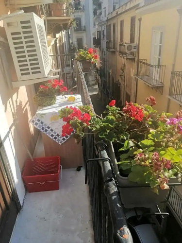Casa vacanza Ligia Aurora