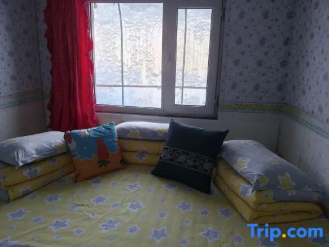Bed in Dorm