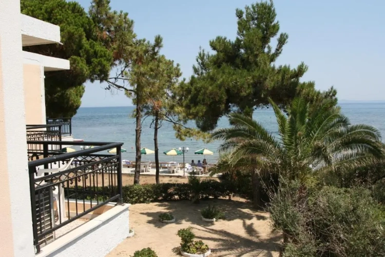 Studio with balcony and with view
