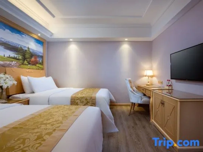 Standard Twin Family room