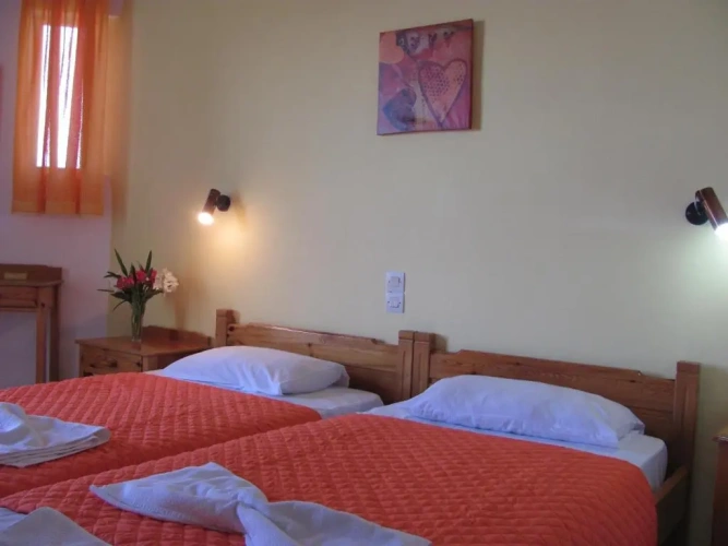 Standard Double room with mountain view