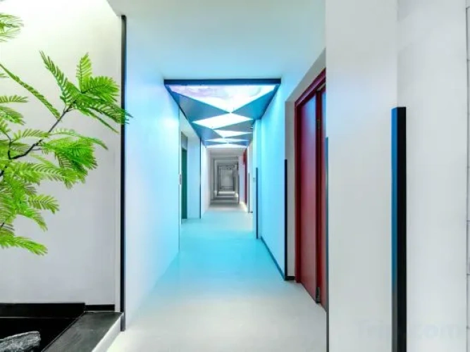 Hotel rooms