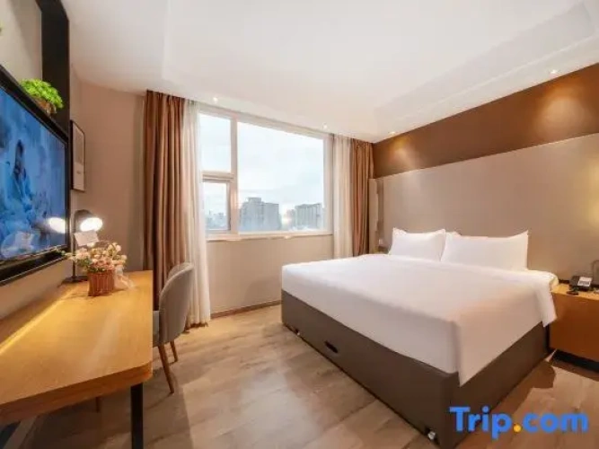 1 Bedroom Standard Suite