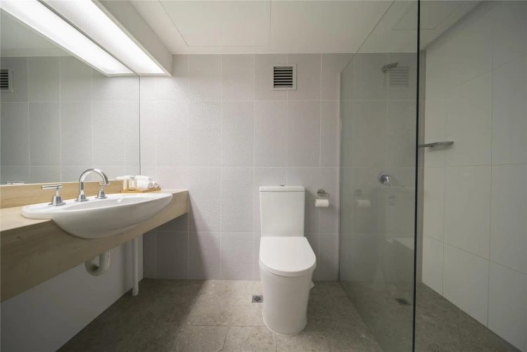 Deluxe Double room with balcony and with city view