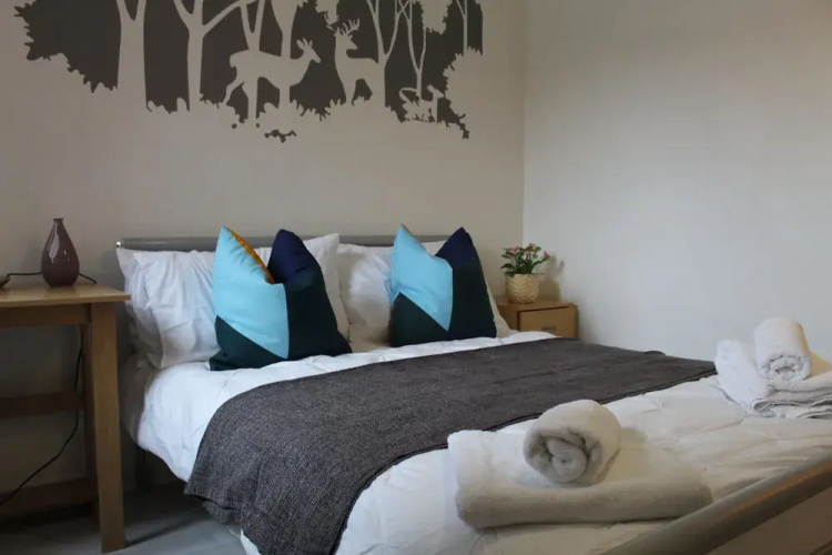 Modern Apartment-Comfortable and Central