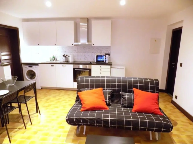 Basement Apartment