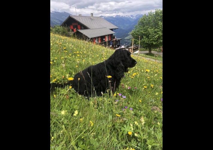 Battagliahütte