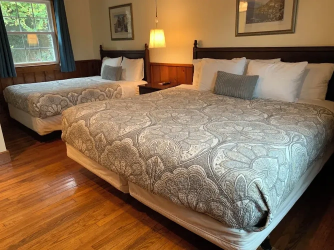 1 Bedroom Deluxe Suite